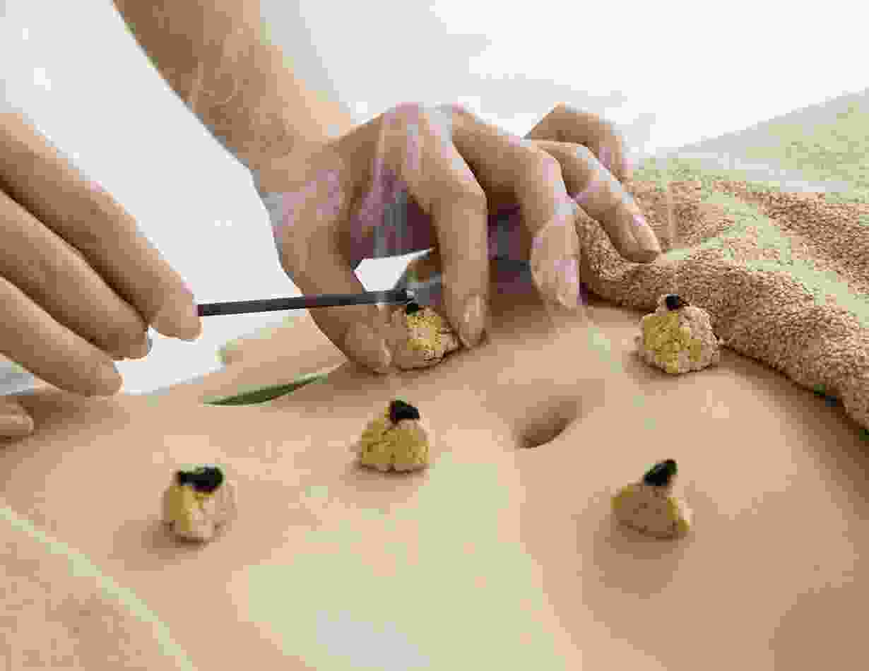 image-caption-type-2-2